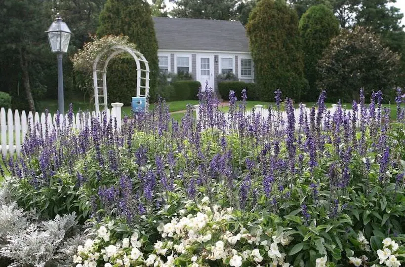 小室, Wequassett Resort And Golf Club