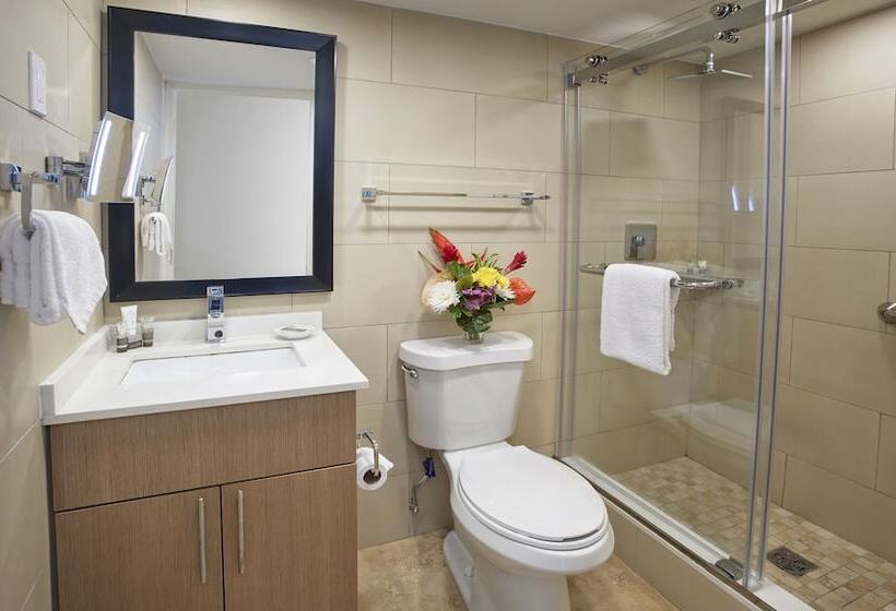 سوئیت 2 خوابه, Divi Southwinds Beach Resort