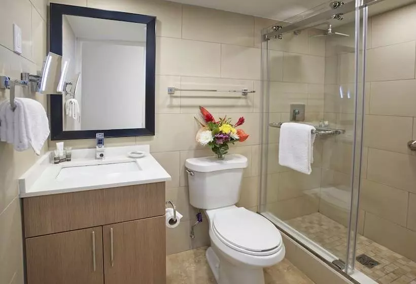 سوئیت 2 خوابه, Divi Southwinds Beach Resort