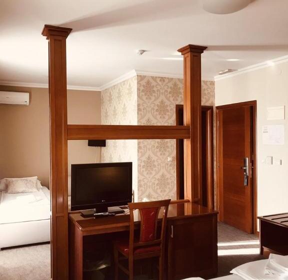 اتاق استاندارد با چشمانداز رودخانه, Bristol