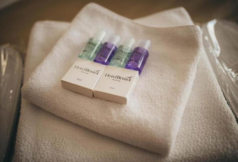 اتاق استاندارد با چشمانداز, Bristol