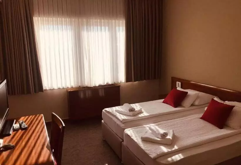 اتاق اکونومی, Bristol