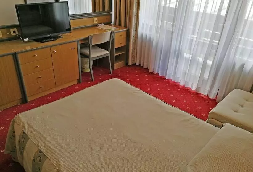 スタンダードシングルルーム, Cerkno