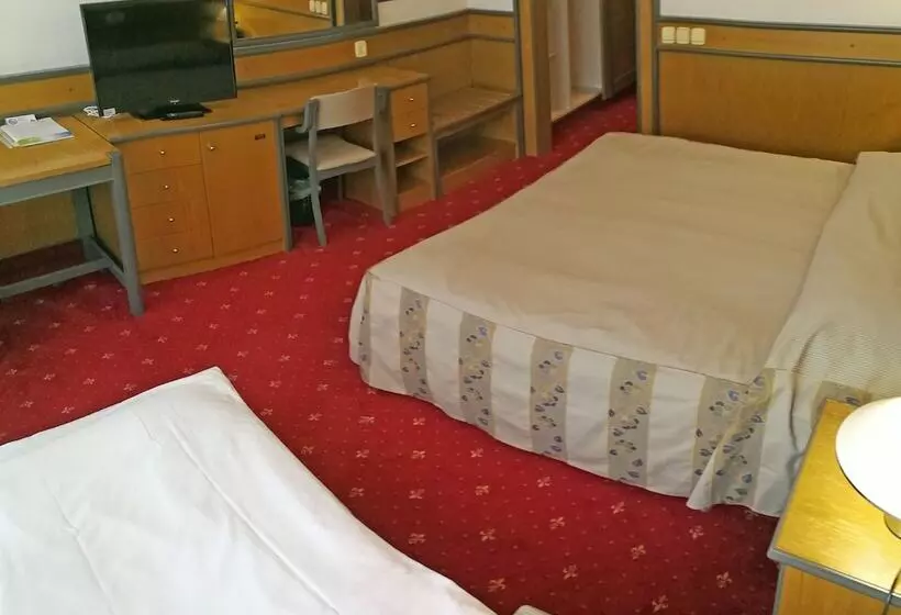 スタンダードルーム, Cerkno