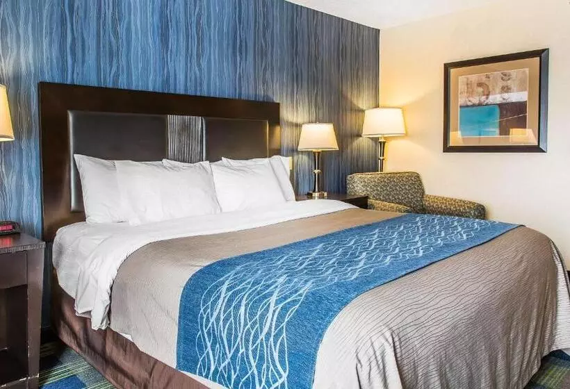 キングサイズベッドのスタンダードルーム, Comfort Inn & Suites