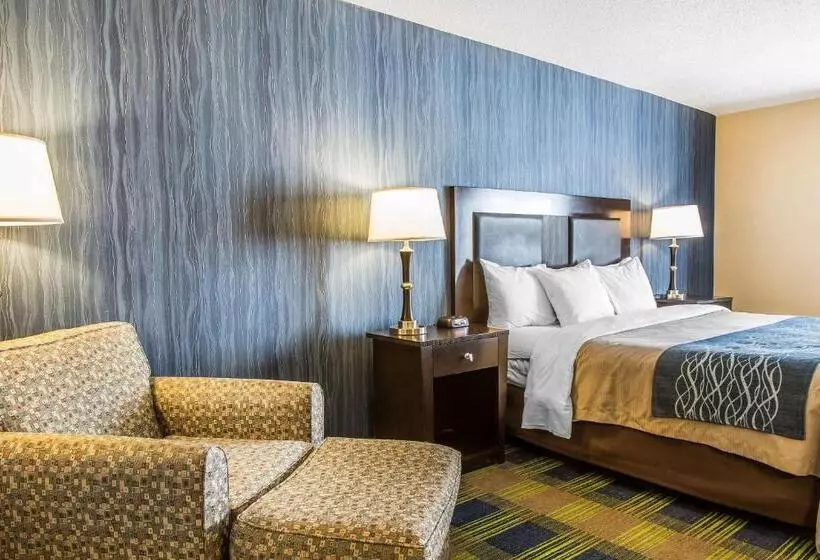 キングサイズベッドのスタンダードルーム, Comfort Inn & Suites
