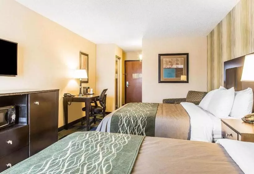 スタンダードルーム, Comfort Inn & Suites