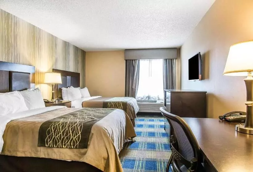 スタンダードルーム, Comfort Inn & Suites