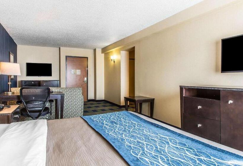 비즈니스룸, Comfort Inn & Suites
