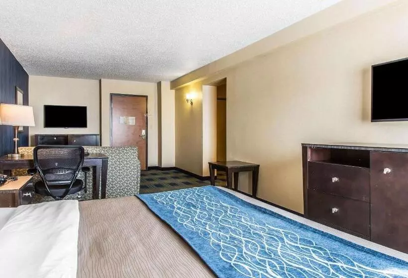 ビジネスルーム, Comfort Inn & Suites