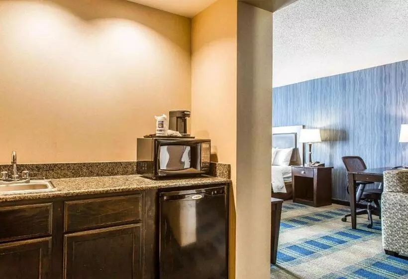 ビジネスルーム, Comfort Inn & Suites