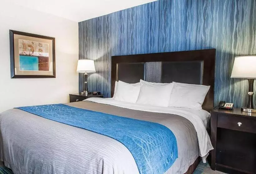 ビジネスルーム, Comfort Inn & Suites