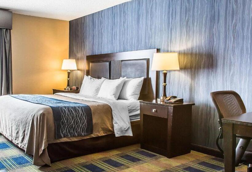 비즈니스룸, Comfort Inn & Suites