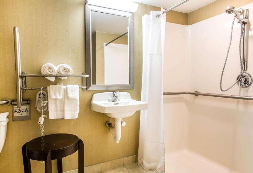 غرفة قياسية سرير كينج لذوى الإحتياجات الخاصة, Comfort Inn & Suites