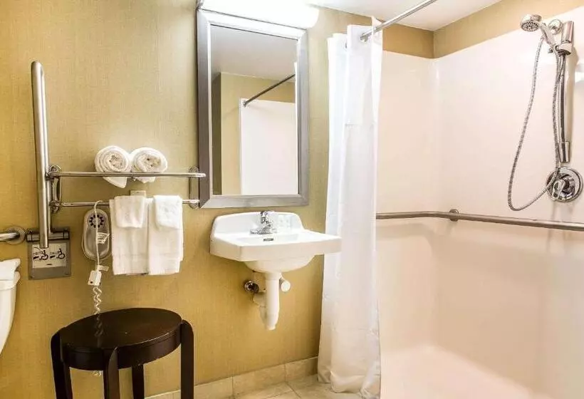 身障者適用キングサイズベッドルーム, Comfort Inn & Suites