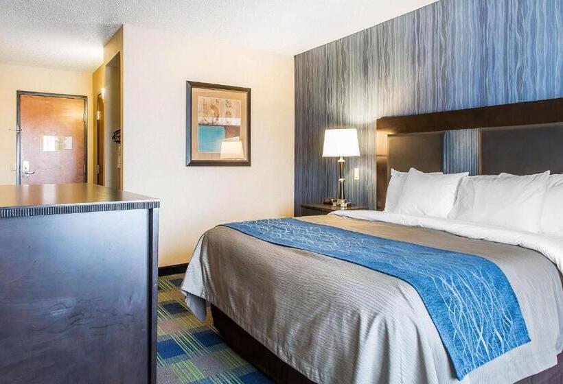 غرفة قياسية سرير كينج لذوى الإحتياجات الخاصة, Comfort Inn & Suites