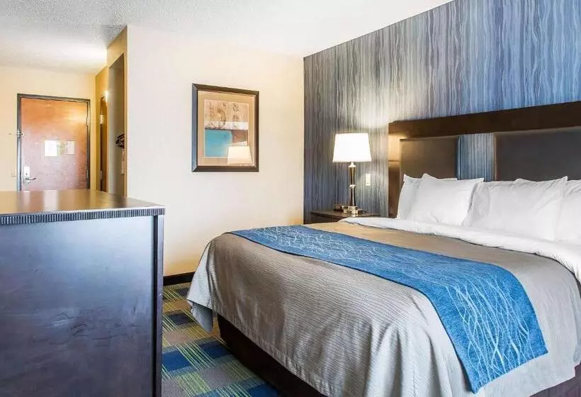 身障者適用キングサイズベッドルーム, Comfort Inn & Suites