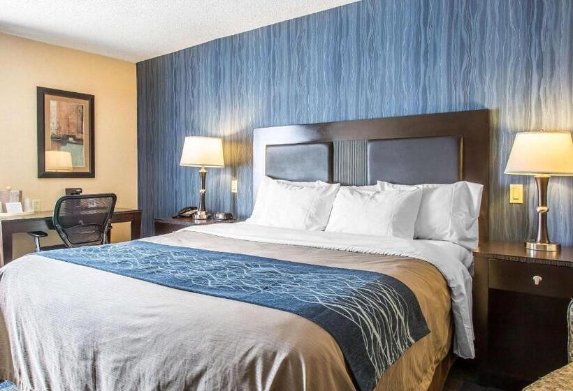 장애인을 위한 킹사이즈 침대 스탠다드 룸, Comfort Inn & Suites