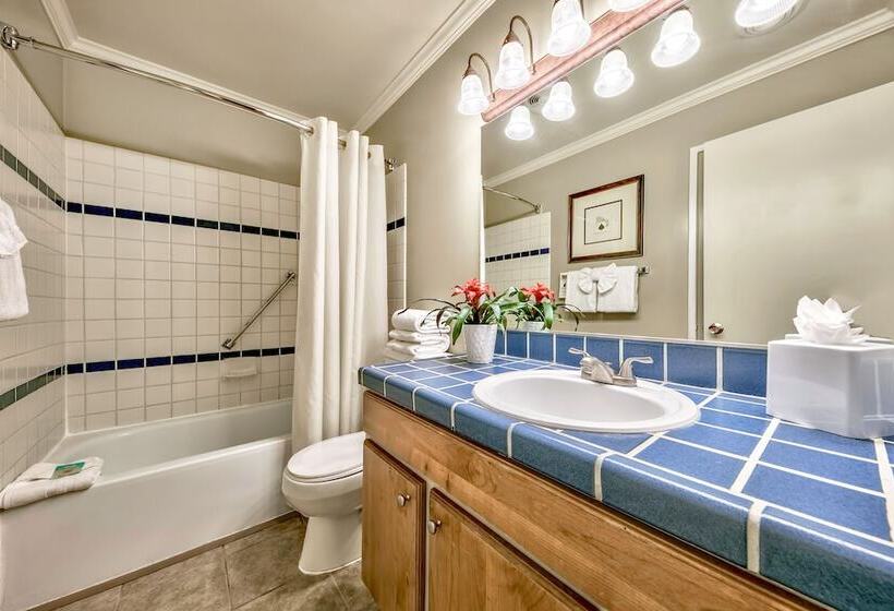 豪华两卧套房, Forest Suites Resort At The Heavenly Village