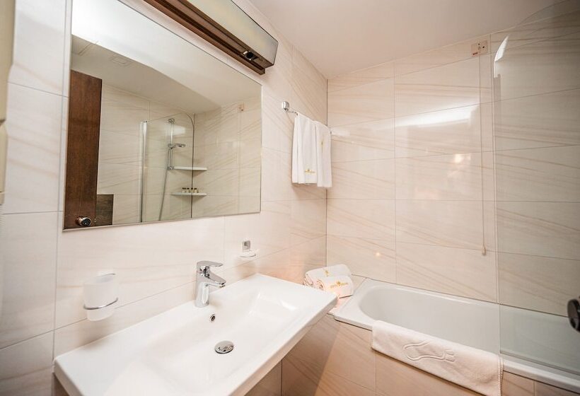 חדר סופריור יחיד, Holiday