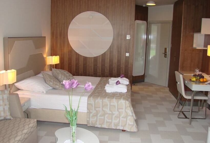 اتاق استاندارد, Terme   Terme čatež