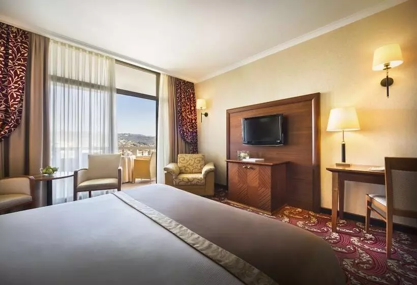 اتاق استاندارد با چشم‌انداز پارک, Remisens Hotel Metropol