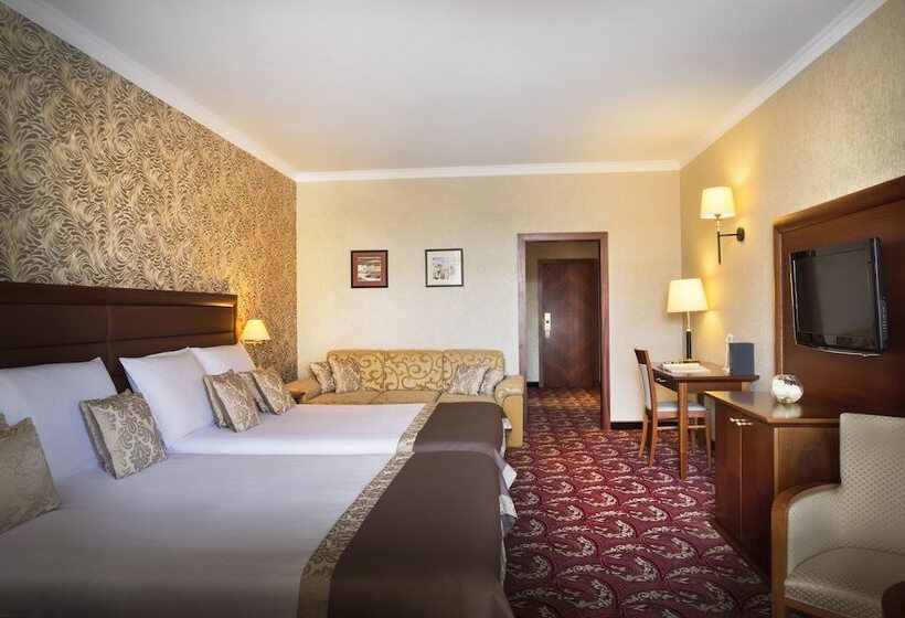 اتاق استاندارد با چشمانداز پارک, Remisens Hotel Metropol