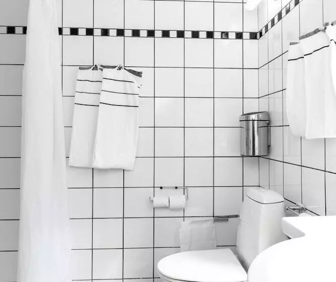 اتاق استاندارد یک نفره, Hindsgavl Slot