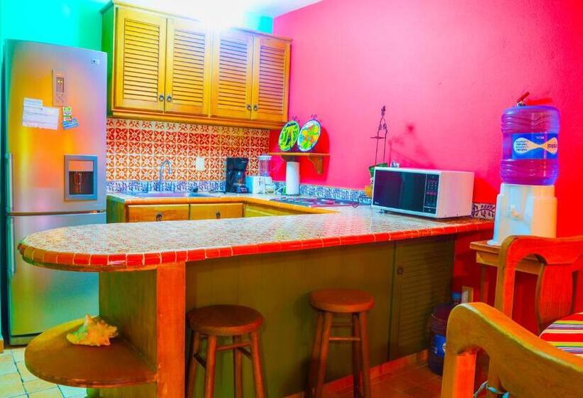 شقة غرفة واحدة مطلة على الحديقة, Nautibeach Beach Front Condos In North Beach