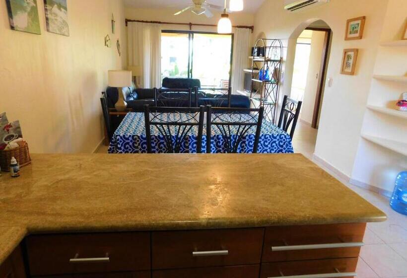 شقة غرفة واحدة مطلة على الحديقة, Nautibeach Beach Front Condos In North Beach