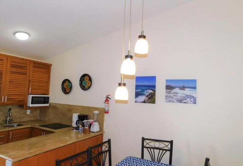 דירת חדר נוף לגינה, Nautibeach Beach Front Condos In North Beach