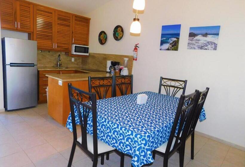 شقة غرفة واحدة مطلة على الحديقة, Nautibeach Beach Front Condos In North Beach