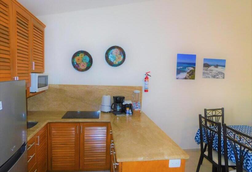 شقة غرفة واحدة مطلة على الحديقة, Nautibeach Beach Front Condos In North Beach