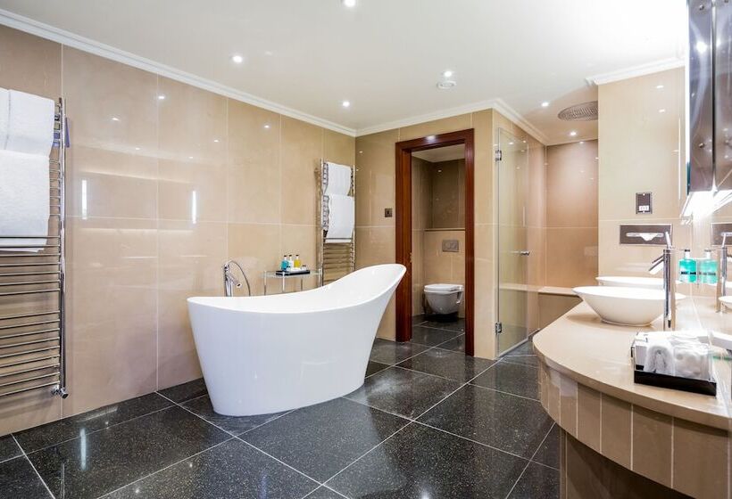 스위트, Radisson Blu Hotel, London Heathrow