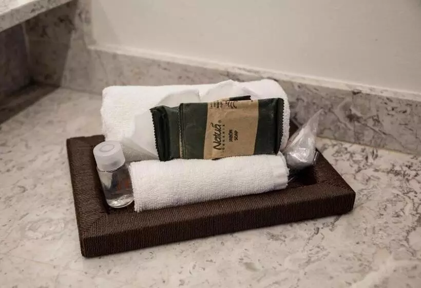 اتاق استاندارد با تخت بزرگ, Boutique Naura Centro