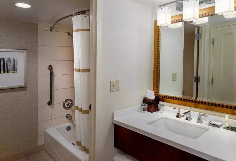 اتاق استاندارد با تخت بزرگ, Marriott St. Louis West