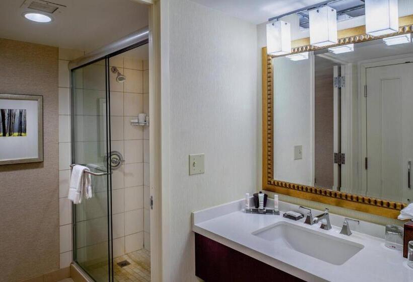 스탠다드 룸, Marriott St. Louis West