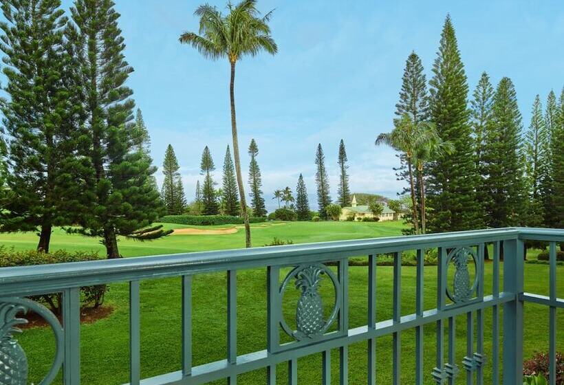 Номер Deluxe, The Ritz Carlton Maui, Kapalua