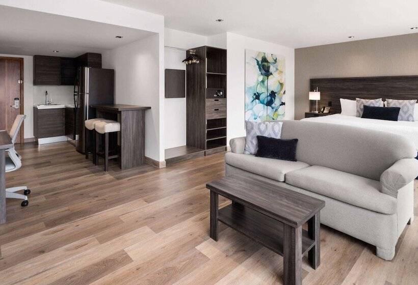 استودیو استاندارد با تخت کینگ, Wyndham Garden Guatemala City