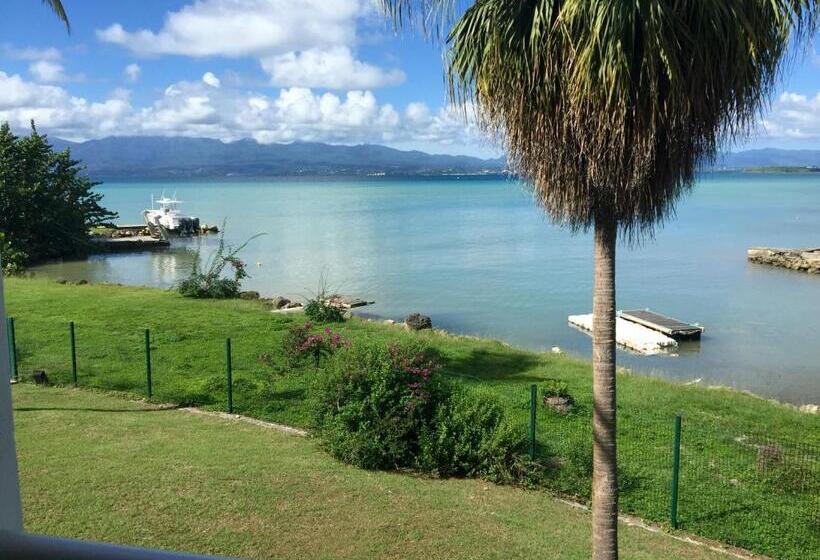 استودیوی استاندارد با چشمانداز دریا, Karaibes Residence