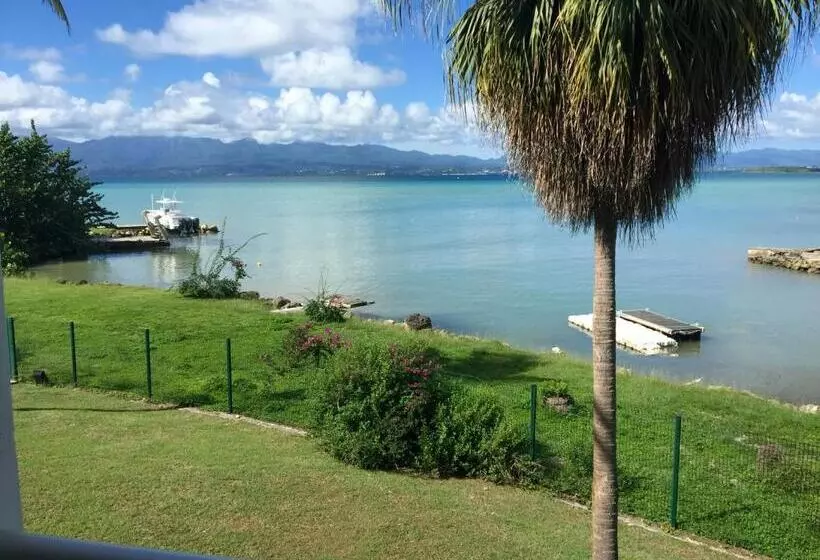 海の見えるスタンダードスタジオ, Karaibes Residence