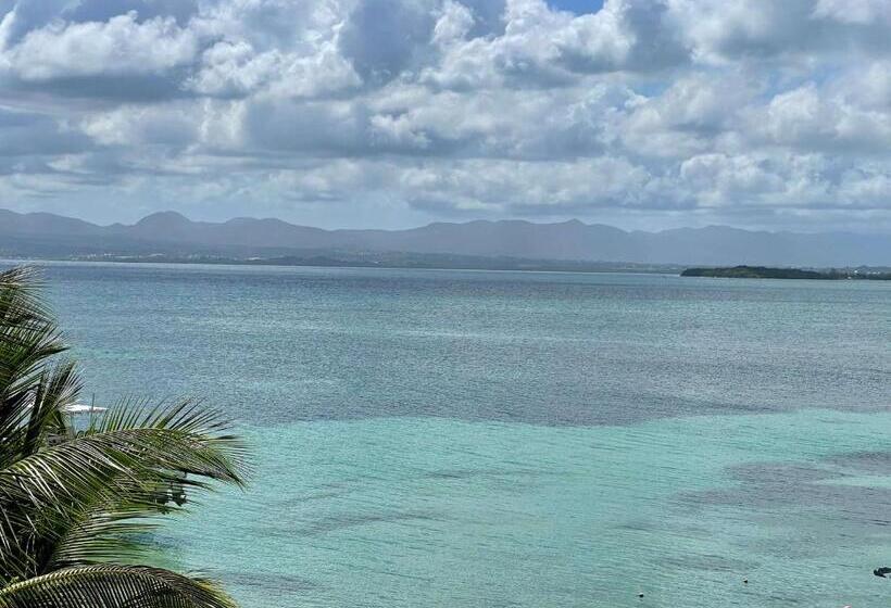 استودیوی استاندارد با چشمانداز دریا, Karaibes Residence