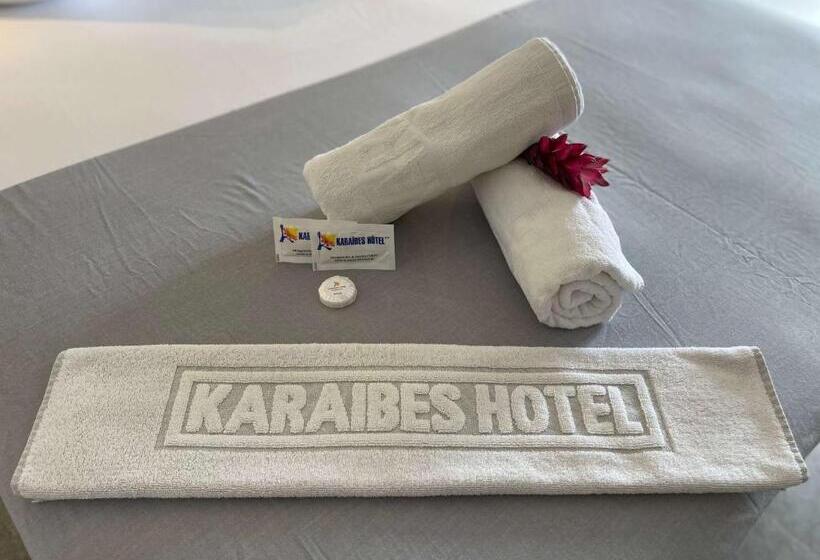 استودیوی استاندارد با چشمانداز دریا, Karaibes Residence