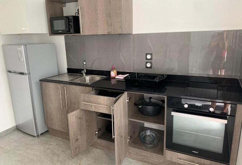 استودیو استاندارد با تراس, Karaibes Residence