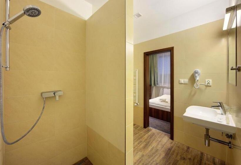 آپارتمان 1 خوابه با بالکن, Congress Hotel Centrum