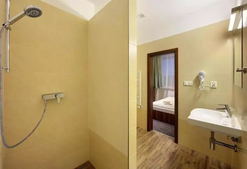 آپارتمان 1 خوابه با بالکن, Congress Hotel Centrum