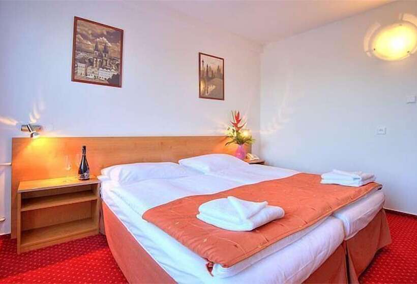 Camera Standard, Globus