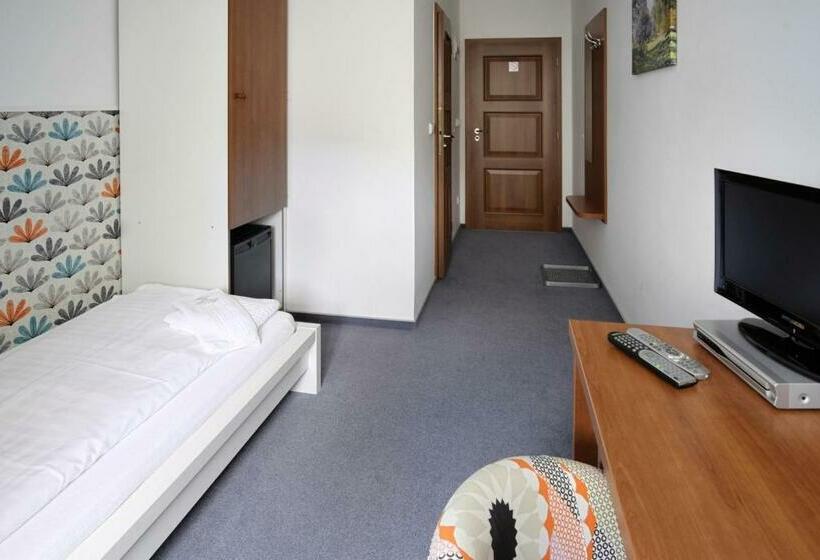 חדר סטנדרט יחיד, Pension Pod Věží