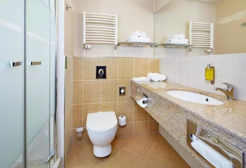 اتاق اجرایی, Orea Resort Sklář Harrachov