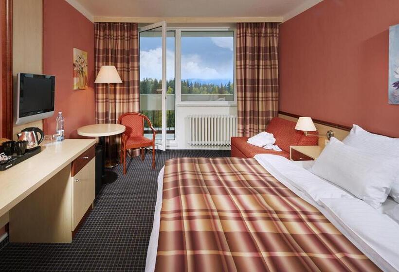 غرفة تنفيذية, Orea Resort Sklář Harrachov